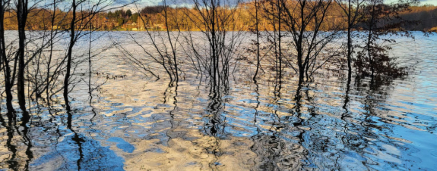 fotka 11 - Nad Strumykiem